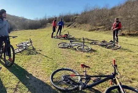 Апартаменты Oltenia Happy 3 - Elena Teodorini 51- *