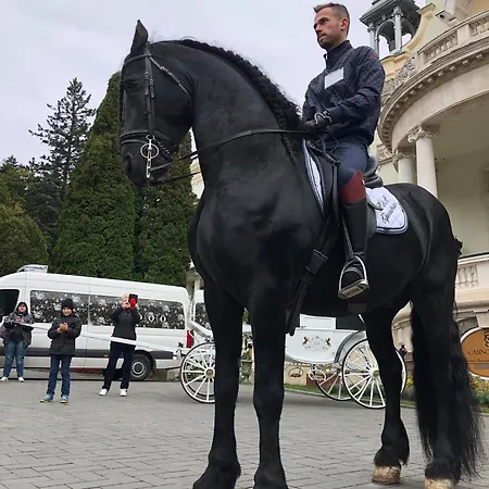 Апартаменты Oltenia Happy 3 - Elena Teodorini 51- Крайова