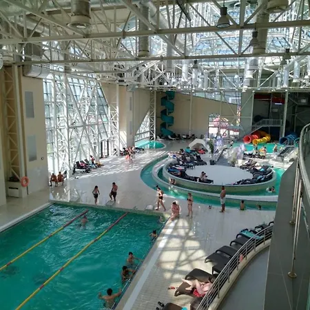 Oltenia Happy 3 - Elena Teodorini 51- * Крайова