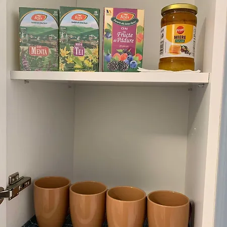 Oltenia Happy 3 - Elena Teodorini 51- * Craiova