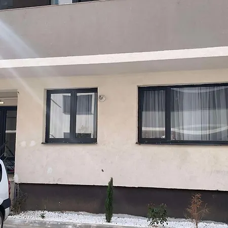 Oltenia Happy 3 - Elena Teodorini 51- 克拉奥华