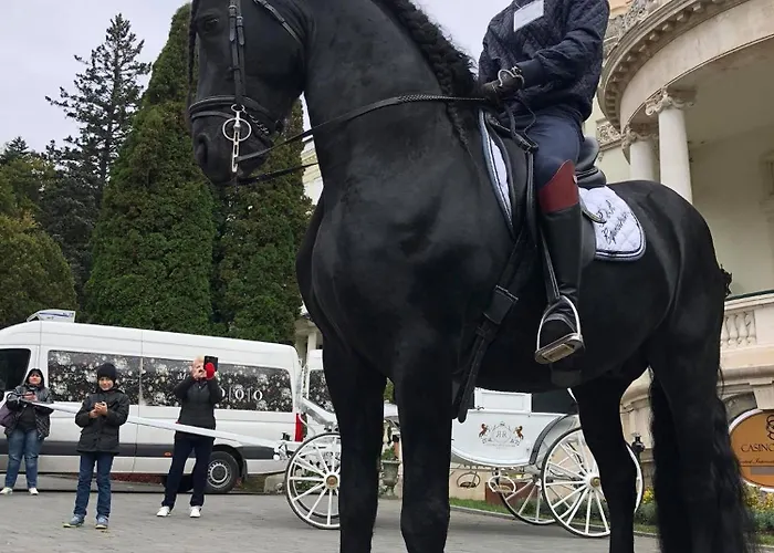 公寓 Oltenia Happy 3 - Elena Teodorini 51- 克拉奥华