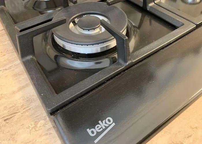 Oltenia Happy 3 - Elena Teodorini 51- 克拉奥华