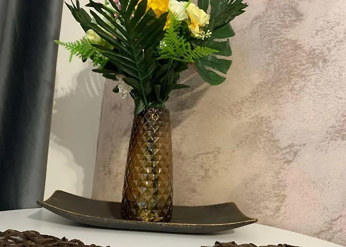 Oltenia Happy 3 - Elena Teodorini 51- * 克拉奥华