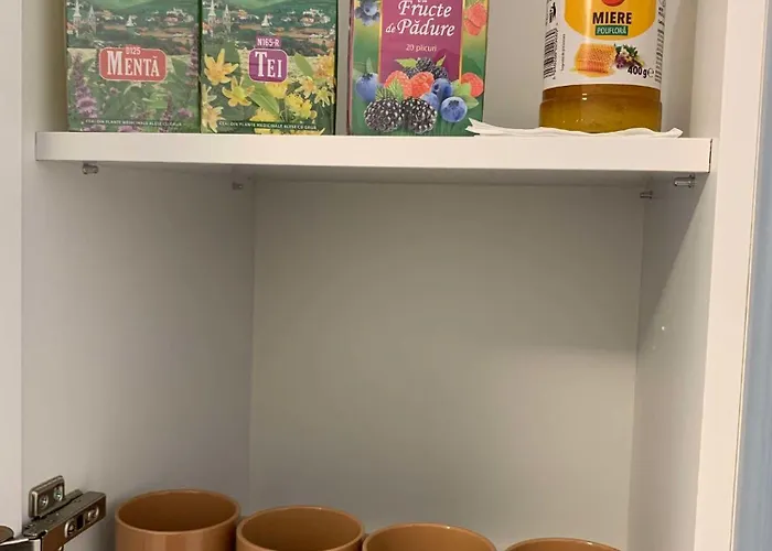 Oltenia Happy 3 - Elena Teodorini 51- * 克拉奥华