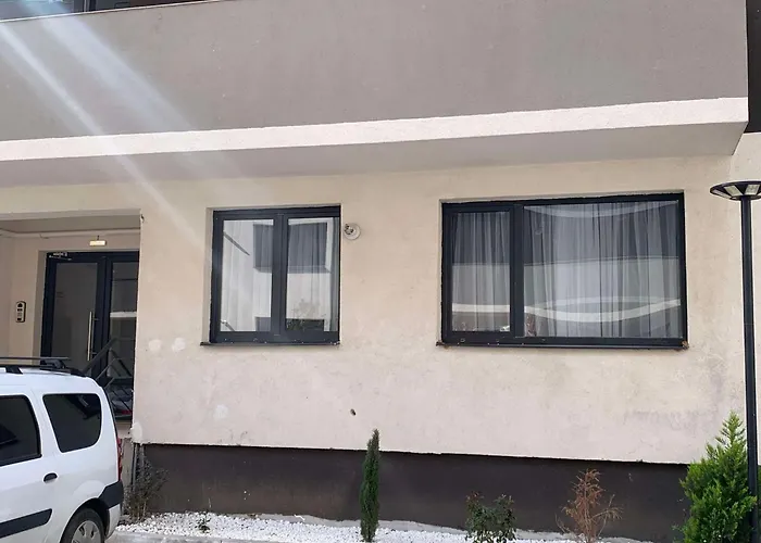 Oltenia Happy 3 - Elena Teodorini 51- 克拉奥华